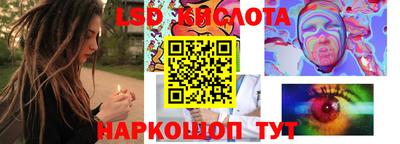 твердый Гусев