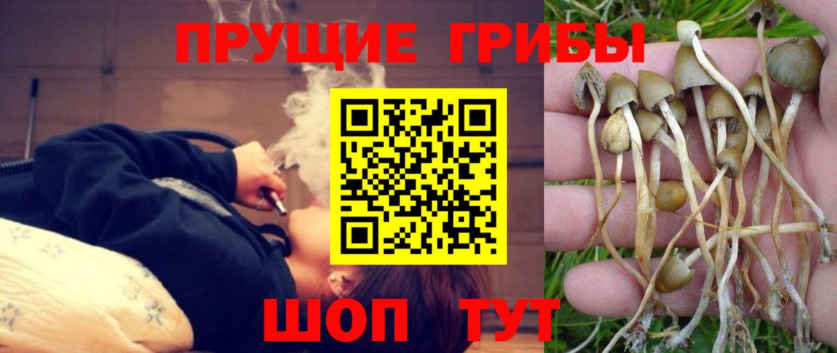 Минеральные Воды  Галлюциногенные грибы MAGIC MUSHROOMS  Вход с VPN 